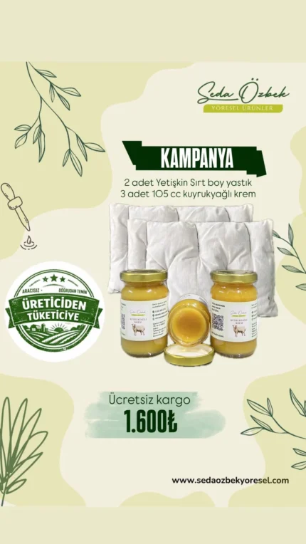 Kampanya 2